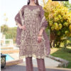 Ziaaz Designs 804 Organza Embroidered Pakistani Suit (5) - Copy