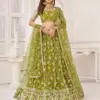 Narayani Fashion Kelaya Vol-5 Designer Mirror Work Lehenga