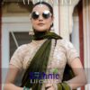 Sethnic Lifestyle Wholesale Satin Velvet Saree Heavy Blouse Catalog