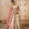Vardan Ethnic Elegant White Zari Silk Designer Lehenga Choli (2)