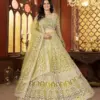 Vardan Ethnic Vibrant Lime Green Net Designer Wedding Lehenga (3)