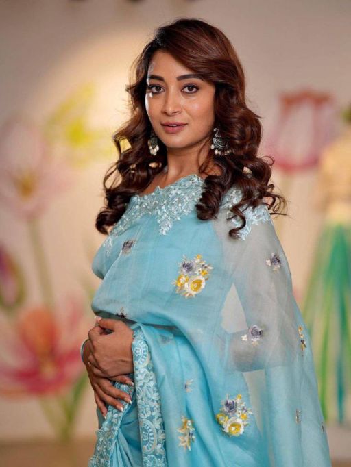 Vardan Ethnic VT 722 T Wholesale Organza Silk Saree Collection