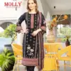 Harshit Fashion Molly Wholesale Printed Salwar Kameez Catalog
