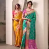RajPath Airavat Patola Silk Saree Collection