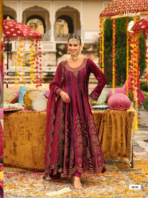 IBIZA Anarkali Vol-2 Wholesale Premium Velvet Embroidered Anarkali Collection - Image 4