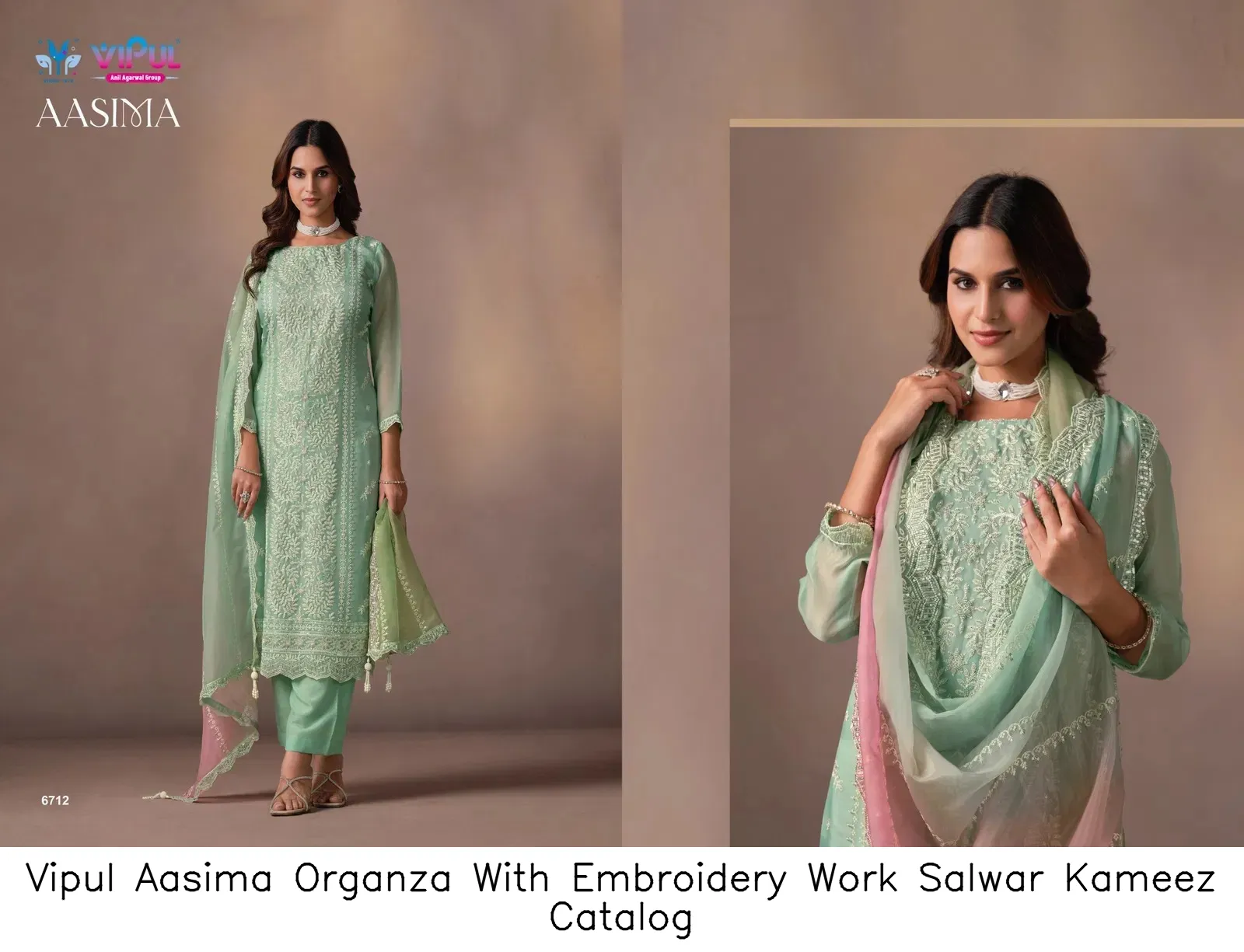 Vipul Aasima Organza With Embroidery Work Salwar Kameez Catalog