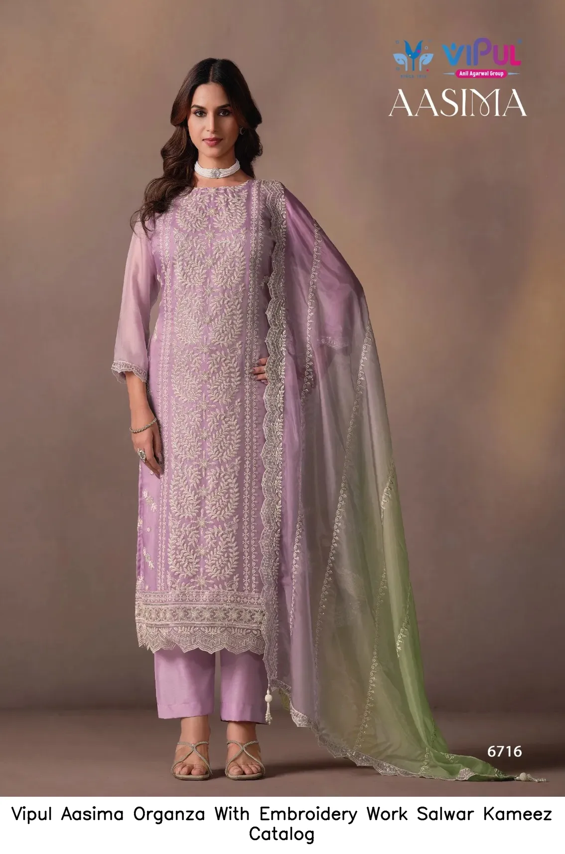 Vipul Aasima Organza With Embroidery Work Salwar Kameez Catalog