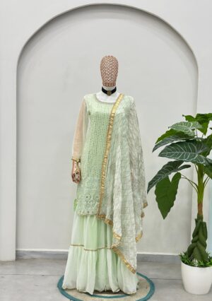 5065 Beautiful embroidery with sequence Pakistani Sharara Suit