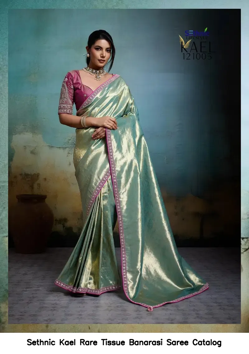 Sethnic Kael Rare Tissue Banarasi Saree Catalog — Wholesale Sarees, Sethnic wholesale from Surat — view 2