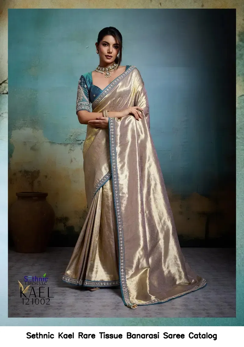 Sethnic Kael Rare Tissue Banarasi Saree Catalog — Wholesale Sarees, Sethnic wholesale from Surat — view 3