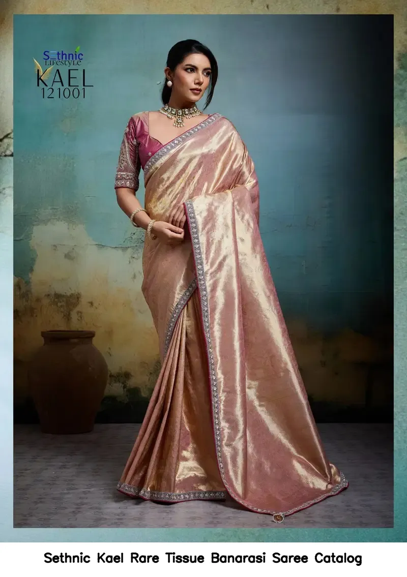 Sethnic Kael Rare Tissue Banarasi Saree Catalog — Wholesale Sarees, Sethnic wholesale from Surat — view 4