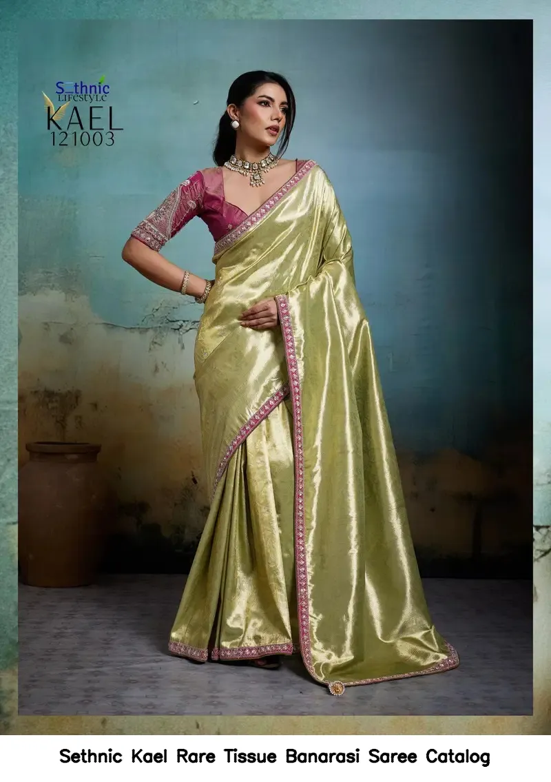 Sethnic Kael Rare Tissue Banarasi Saree Catalog — Wholesale Sarees, Sethnic wholesale from Surat — view 5