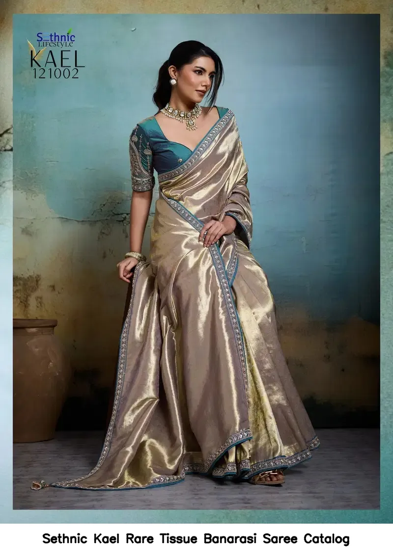 Sethnic Kael Rare Tissue Banarasi Saree Catalog — Wholesale Sarees, Sethnic wholesale from Surat — view 7