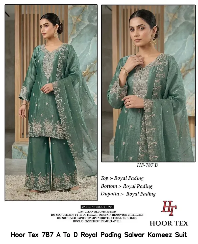 Hoor Tex 787 A To D Royal Pading Salwar Kameez  Suit — Wholesale Readymade Pakistani Suits, hoor Tex wholesale from Surat — view 3
