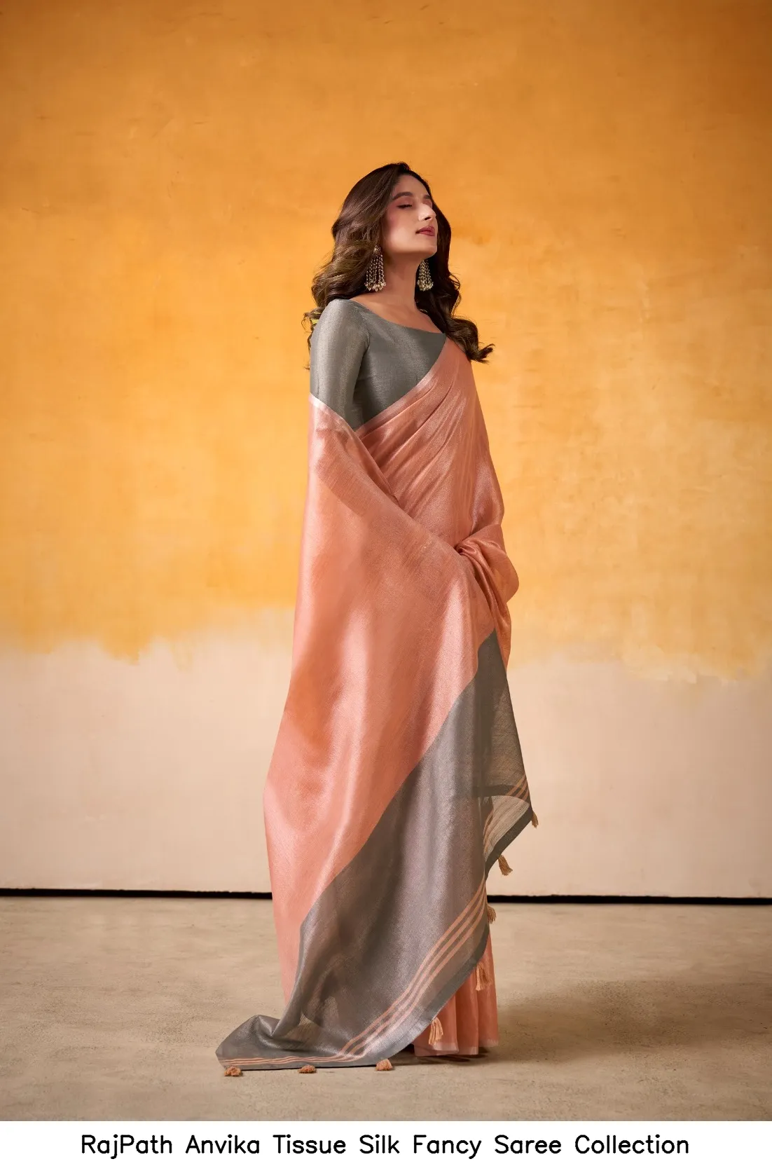 RajPath Anvika Tissue Silk Fancy  Saree Collection — Wholesale Sarees, Rajpath wholesale from Surat — view 2