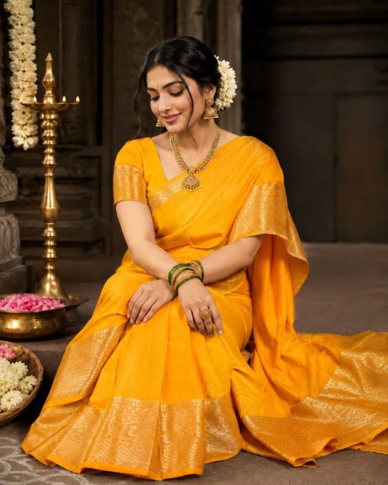 Aab Ambrapali Mercerised Silk Border Design Saree Catalog — Wholesale, Vardan Ethnic wholesale from Surat — view 3