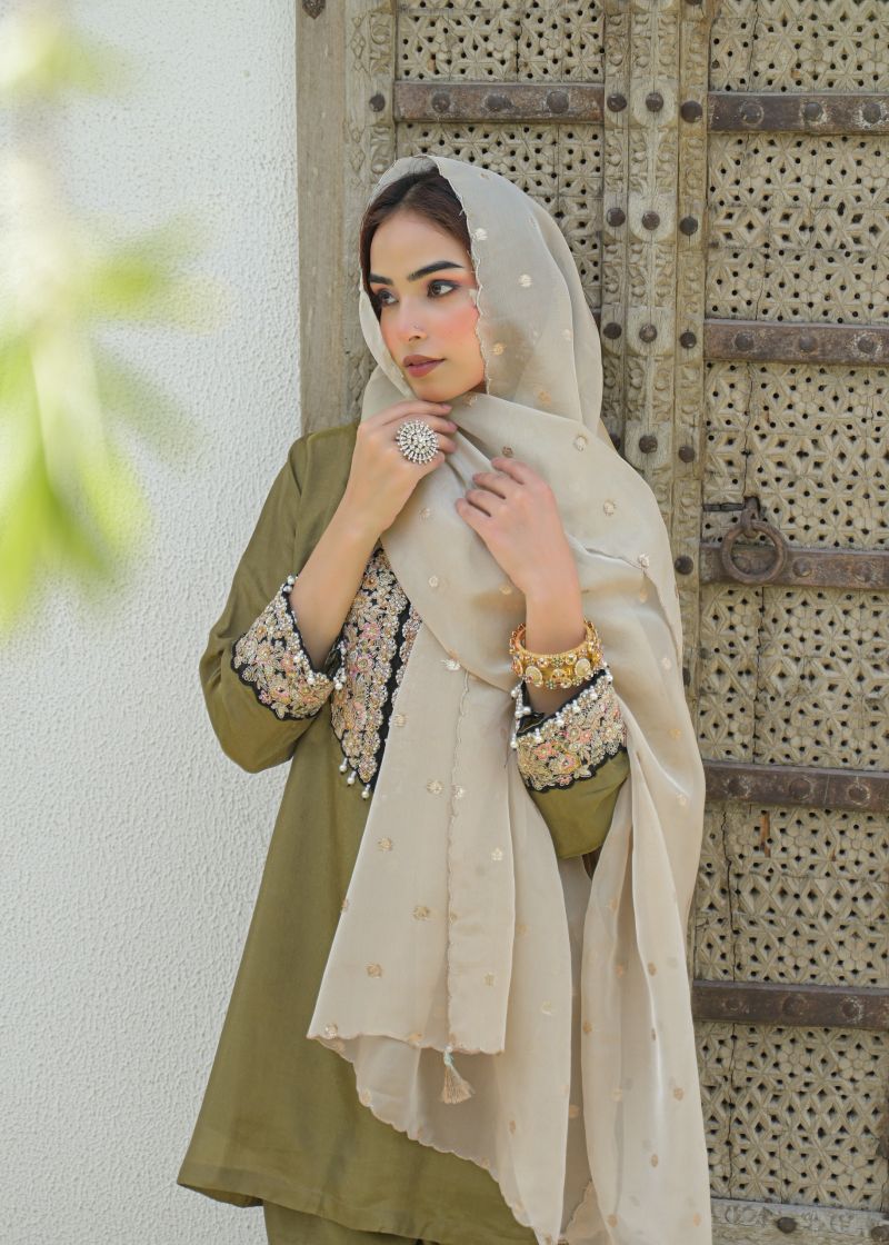 Afsana Jardosi Viscose Simmer Jardosi Cord Work Farshi Salwar Kameez — Wholesale Salwar Suits, Vardan Ethnic wholesale from Surat — view 3