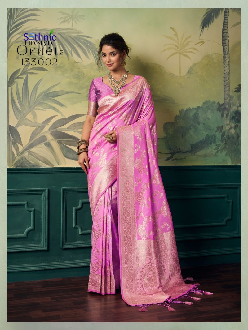Sethnic Ornet Vol 2 Two Tone Banarasi Silk Zari Saree