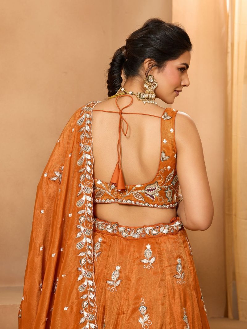 Arya Drs 227 And 228 Premium Pure Tissue Designer Lehenga Choli Set — Wholesale Lehenga wholesale from Surat — view 5