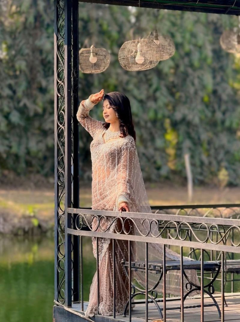 Ds Beed 1 Pure Soft Net Sequence Handworked Designer Saree — Wholesale Sarees, Vardan Ethnic wholesale from Surat — Photo 6
