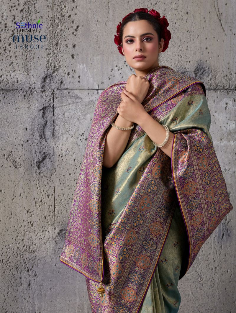 Sethnic Muse Delight Banarasi Tissue Silk Meenakari Patta Weaving Saree Catalog — Organza Saree, Sethnic wholesale from Surat — Photo 4