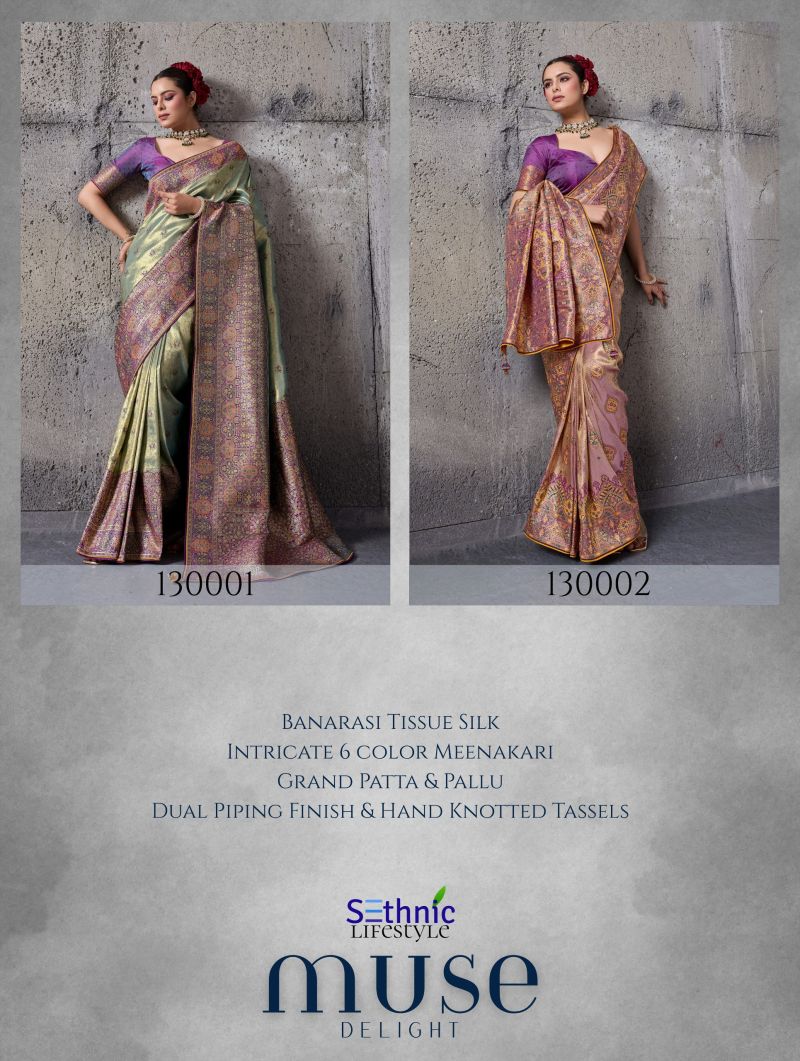 Sethnic Muse Delight Banarasi Tissue Silk Meenakari Patta Weaving Saree Catalog — Organza Saree, Sethnic wholesale from Surat — Photo 7