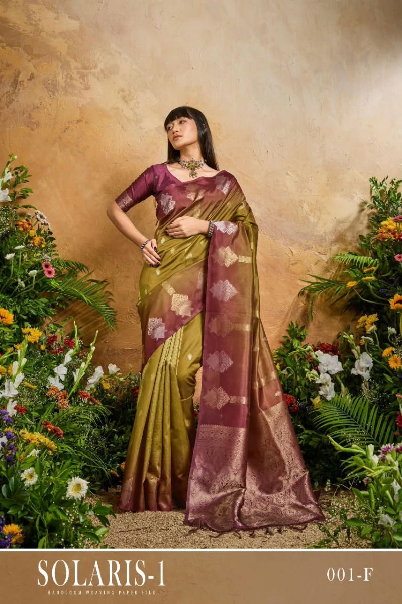 Rajtex Solaris Vol 1 Handloom Weaving Paper Silk Saree with Matching Blouse — Wholesale Sarees, rajtex wholesale from Surat — Photo 5